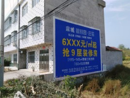 丽江墙体广告质量分析