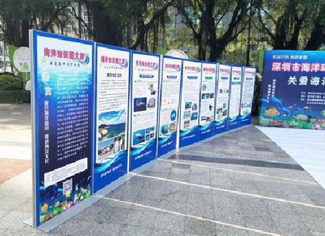 丽江KT板的种类和知识。